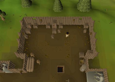 Barbarian Assault Reward Shop .
